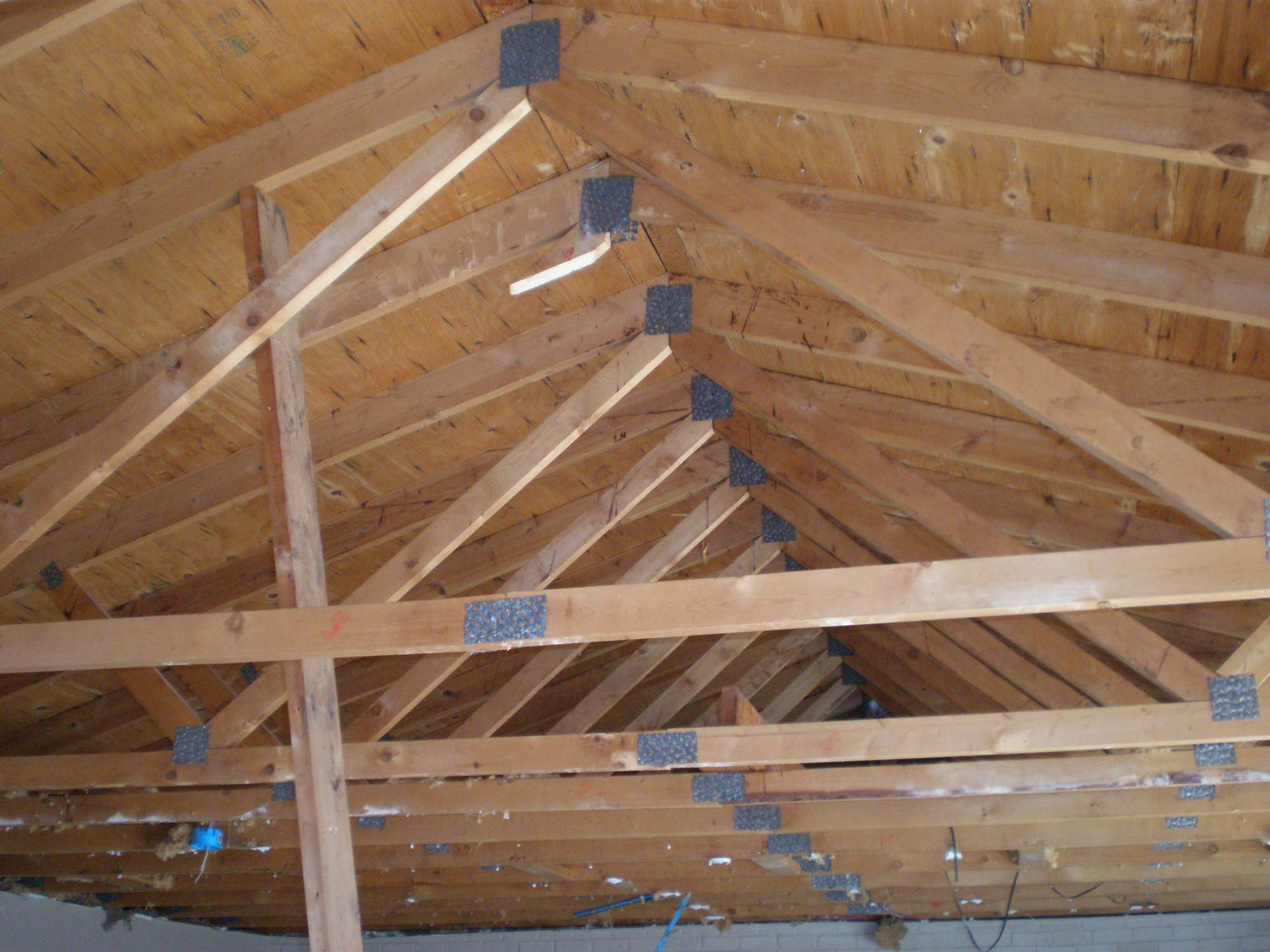 35231d7c-ee91-4393-8e2c-10110f874863P2250003