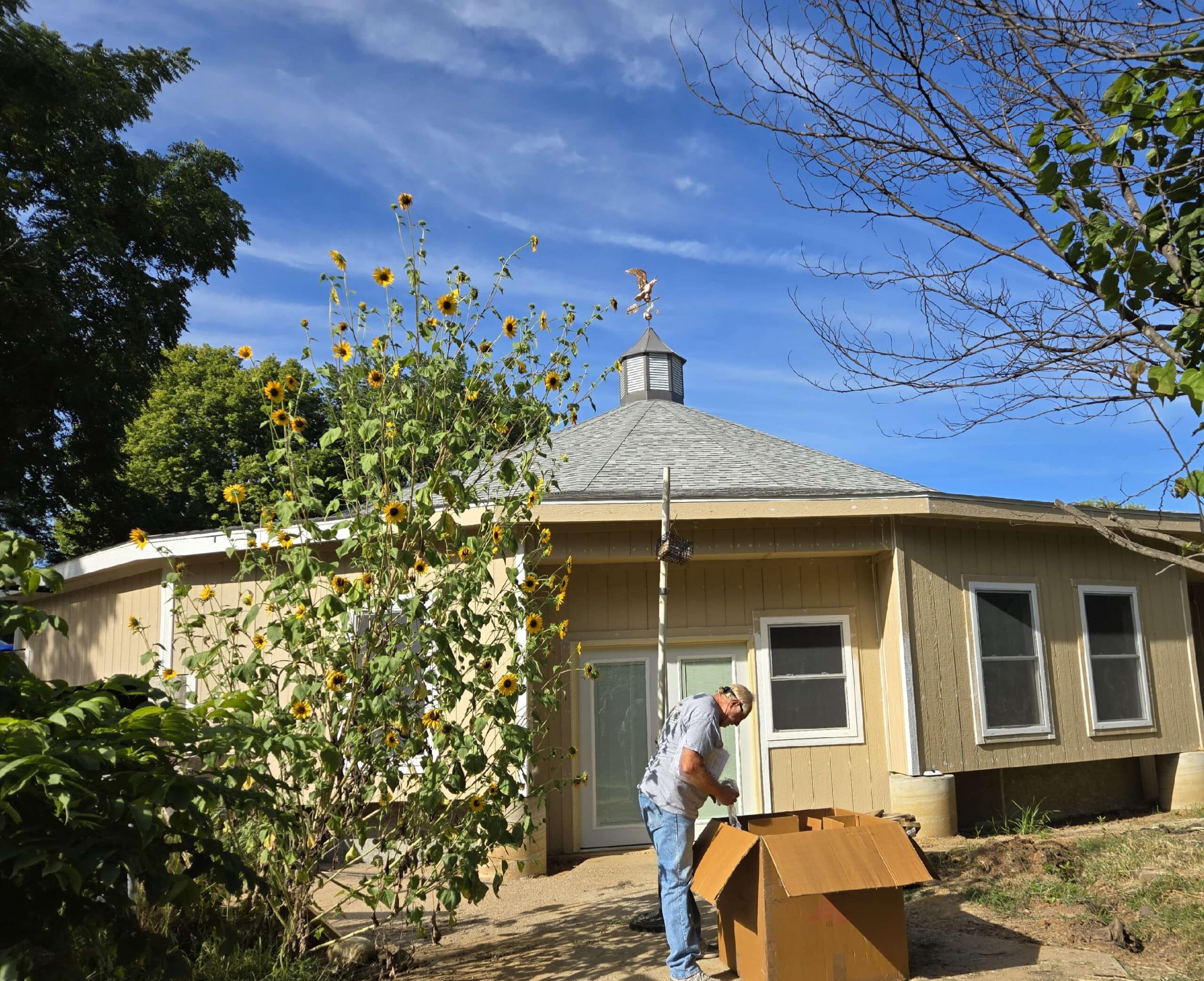 MM cupolo drw (1) (1) (4)